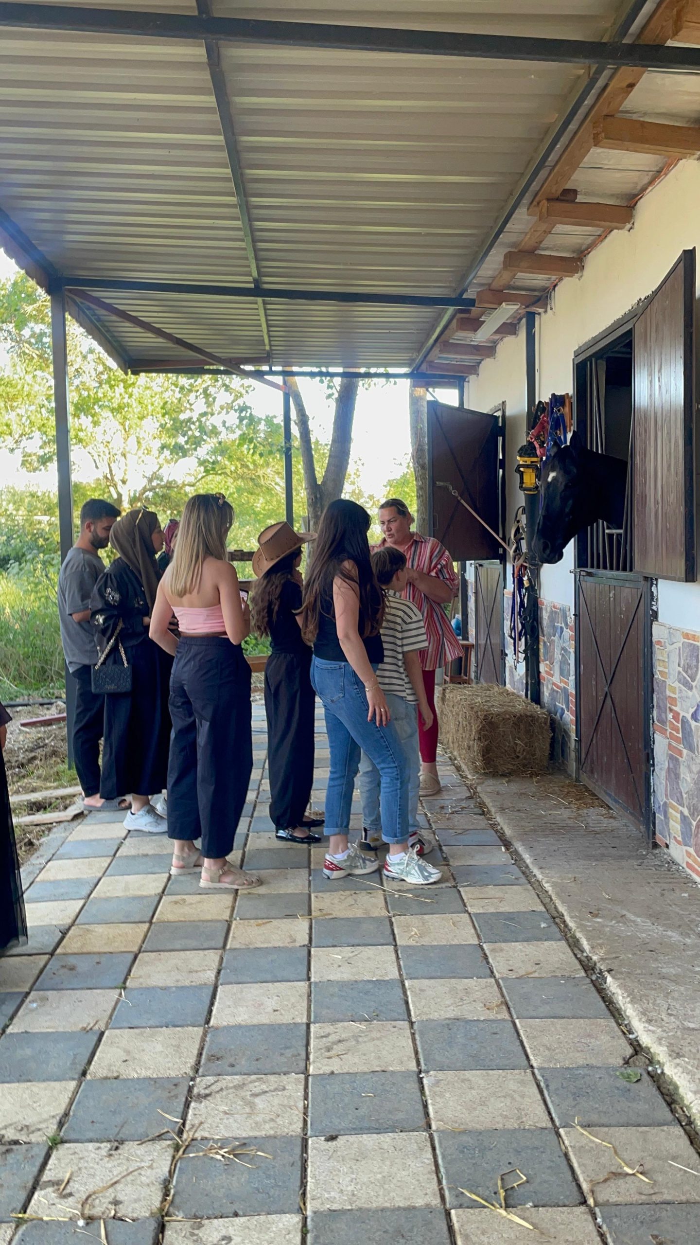 Çatalca Tılsım Hanım At Çiftliği’nde ileri düzey binicilik eğitimi alan binici